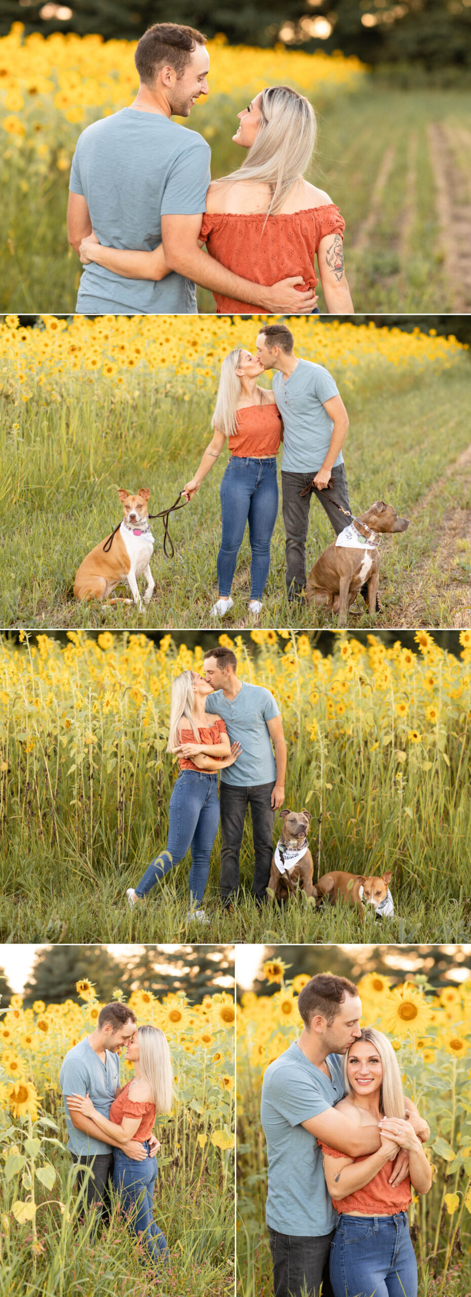 Lane57 sunflowers